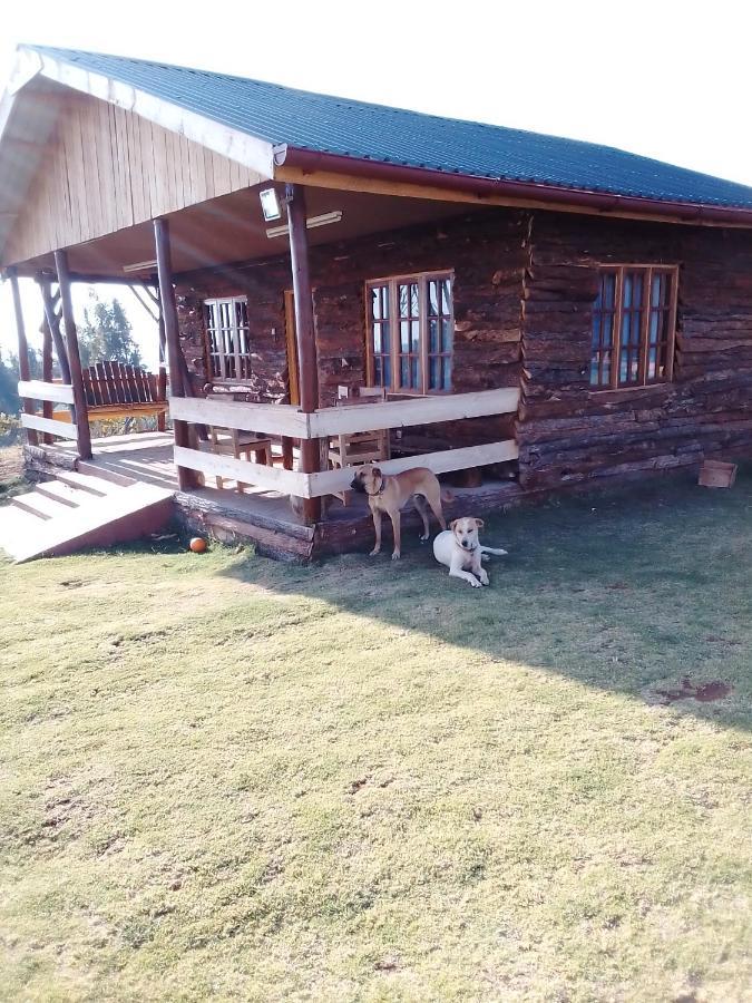 The Wonky House Appartement Timau Buitenkant foto